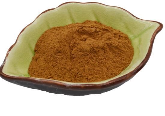 Lentinan from Shiitake Mushroom Lentinan from Shiitake Mushroom