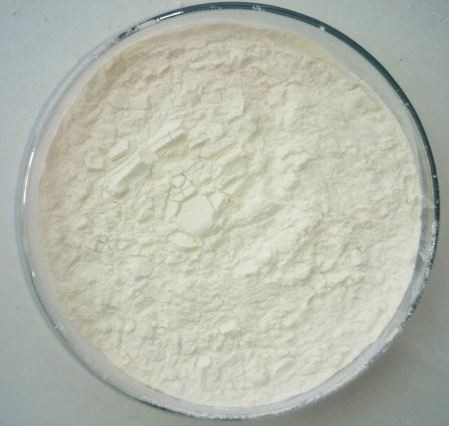 lipase-enzyme-powder49066221389 Lipase Enzyme Powder49066221389