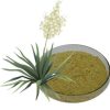 yucca-powder54318306517 Yucca Powder54318306517