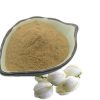 yucca-powder34328091436 Yucca Powder34328091436