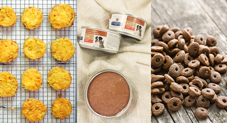 Utilisations de la poudre de citrouille