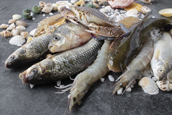 Utilisations de la poudre de chlorella