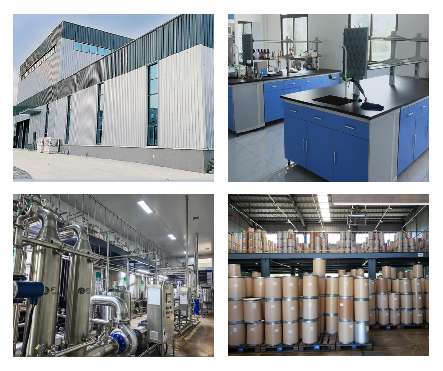 GREEN AGRI's factory