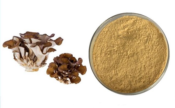 Poudre de champignon Maitake en vrac