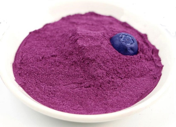 Fabricant de poudre de jus de myrtille