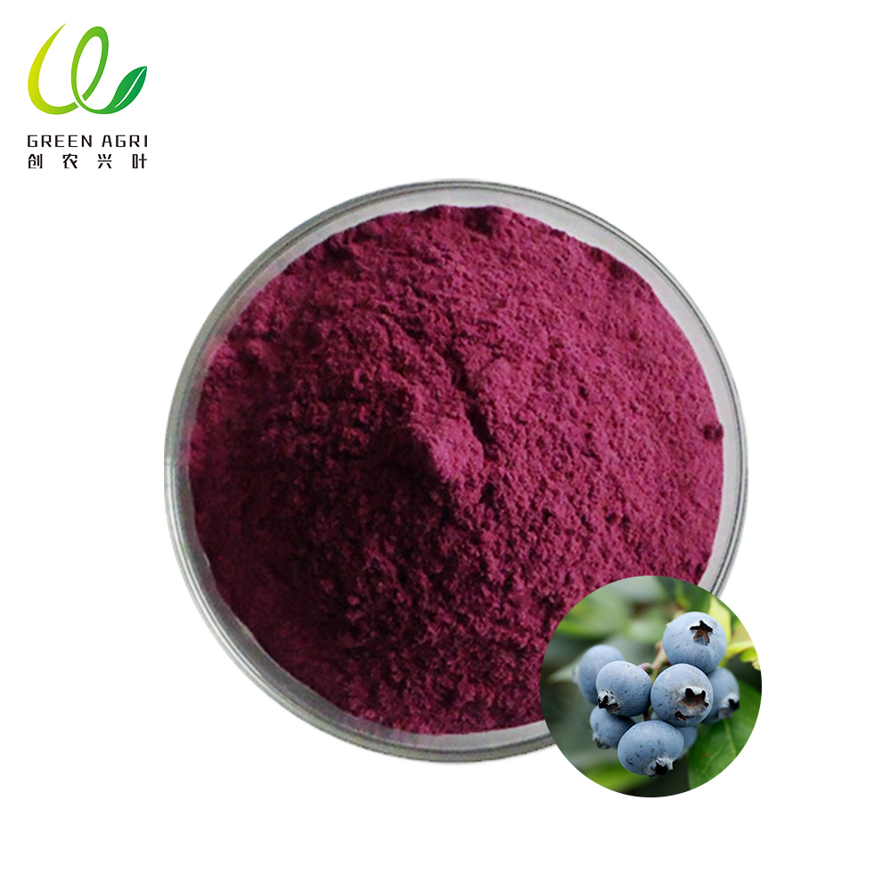 Fabricant de poudre de jus de myrtille