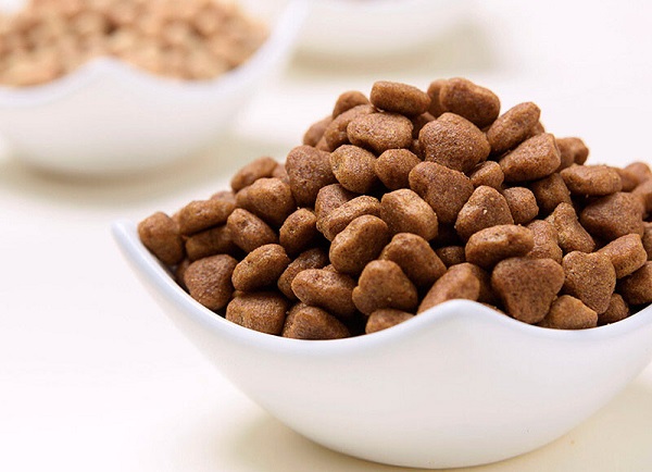 Farine de luzerne dans les aliments pour chiens