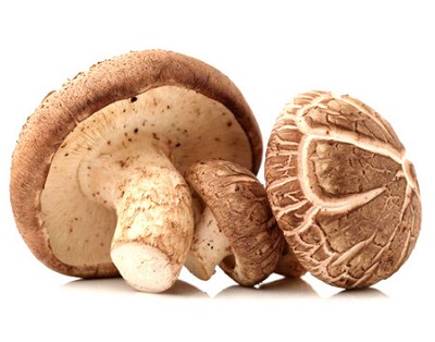 champignon