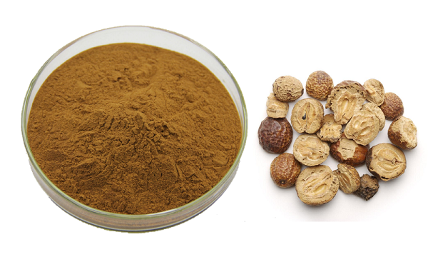 Poudre de toosendanine en vrac