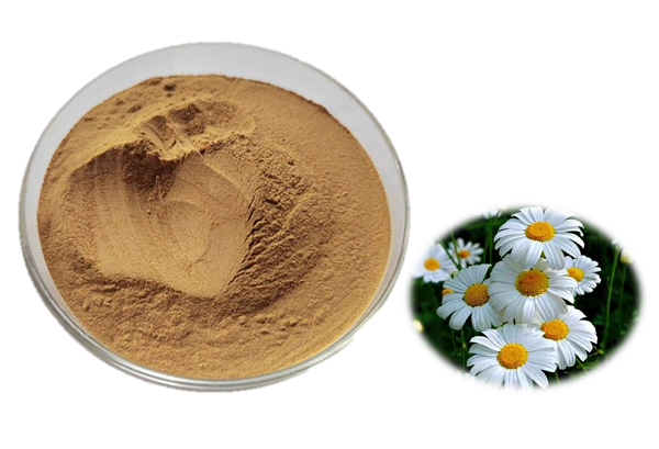 Poudre de fleurs de pyrèthre