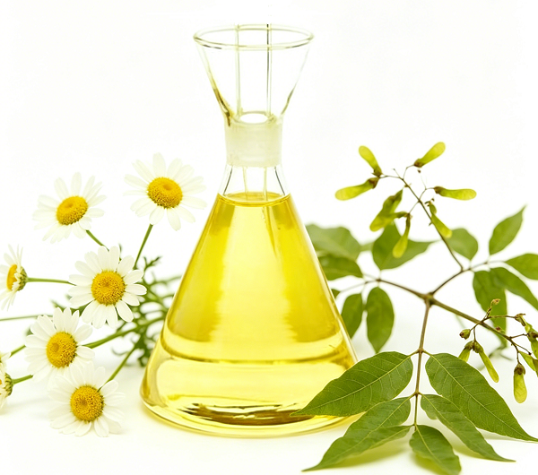 Pyréthrines ou huile de neem : quelle est la meilleure solution naturelle pour lutter contre les nuisibles ?