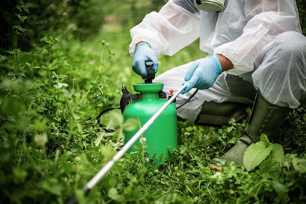 Matériel technique Toosendanin en gros pour les fabricants de pesticides botaniques
